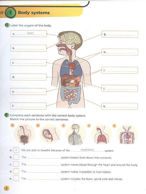 Unit1 Body Systems Activity Book 3 Primaria