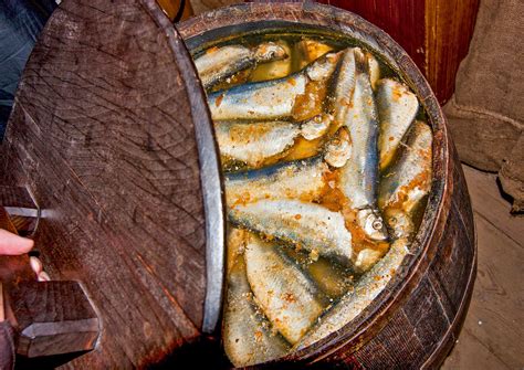 Surstromming | Meaning, Origins, Swedish, Smell, & Herring | Britannica