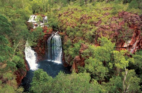 Parque Nacional De Litchfield D A Completo Y Almuerzo Desde Darwin