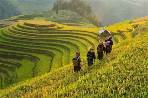 Circuit Sur Mesure Le Vietnam Hors Des Sentiers Battus