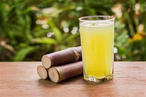 Black Sugarcane Juice Keeps Healthy And Protect From Jaundice पीलिया