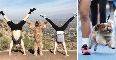 Discover The Benefits Of Working Out With Your Dog Your Best Workout Buddy