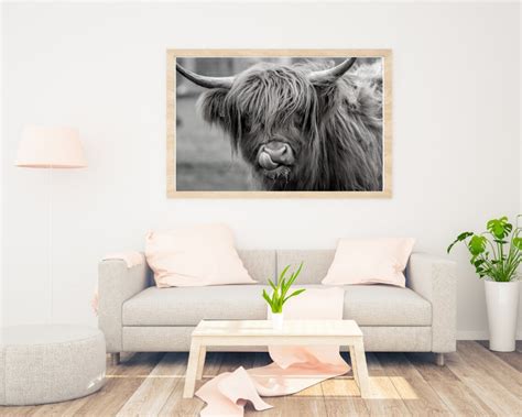 Highland Cow Wall Art Digital Wall Decor Downloadable Etsy