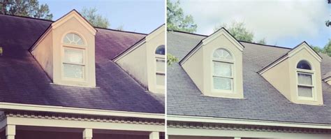 roof cleaning before and after | The Clear Difference