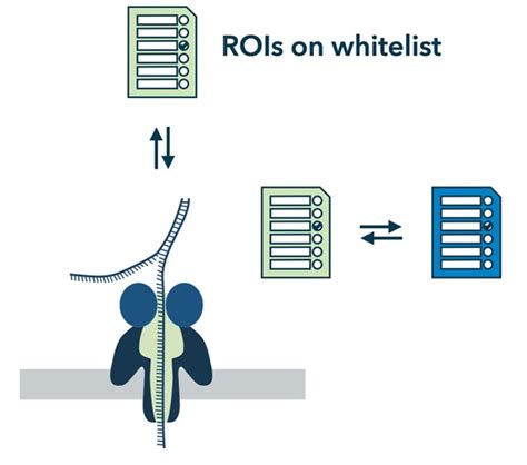 Elevate Your Genomic Discoveries With Nanopore Sequencing Ohmx Bio