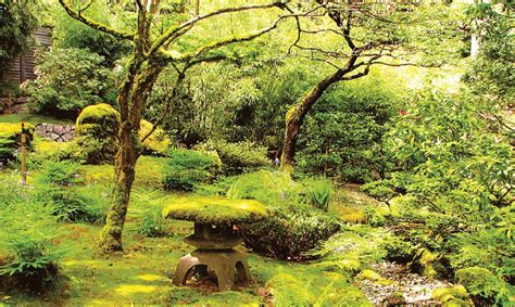 Japanese Moss Garden 69 Photo