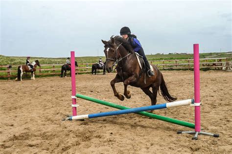 D Couvrez Un S Jour Questre Et Linguistique En Irlande Cheval D Aventure