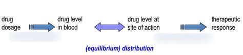 Diagram Of Pharmacology Pharmacokinetics Quizlet