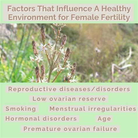 Georgia Marrion Naturopath I Nutritionist - Home 