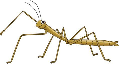 Insect Clipart-cartoon Stick Insect Clipart, 49% OFF