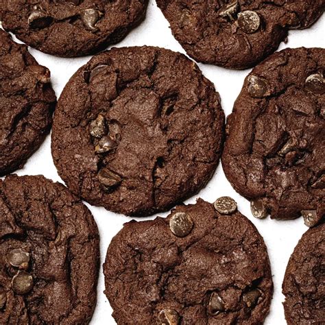 Cocoa Cookie Recipe Easy With 7 Simple Ingredients