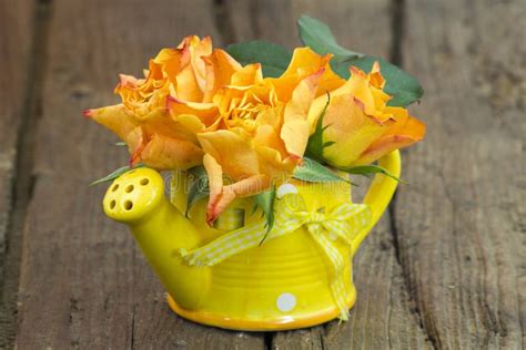 Orange Roses In A Vase Stock Image Image Of Copy Orange