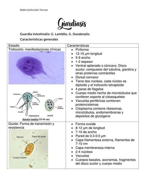 Giardiasis Nadia Solis Torruco Udocz