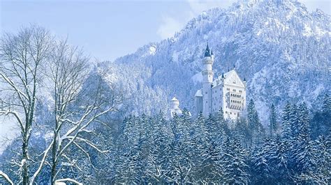 Castillo De Neuschwanstein Fondo De Pantalla Hd Wallpaperbetter