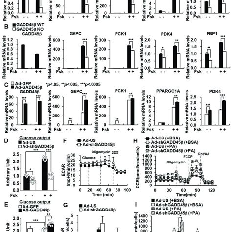 Hepatic Gadd Regulates Glucose Production By Modulating