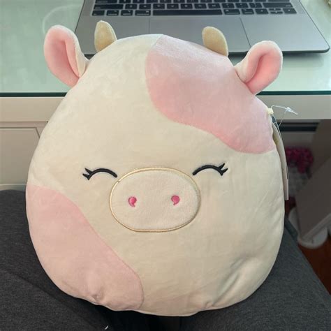 Caedyn Squishmallow 10” Or 11” Not Sure What Size Depop