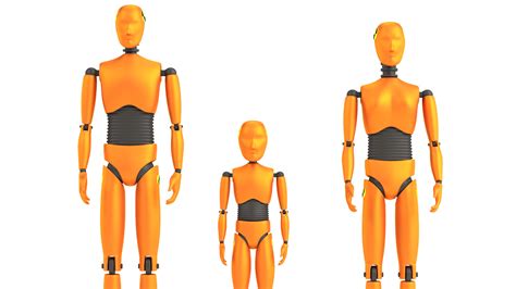 Cómo Es El Nuevo Maniquí Femenino Para Pruebas De Choque Infobae