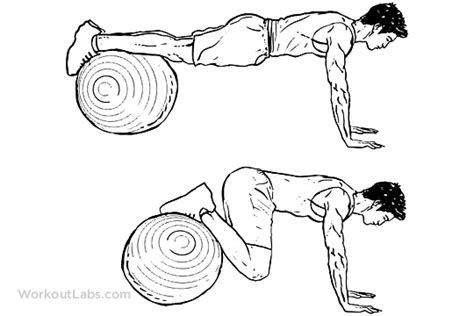 Stability Swiss Exercise Ball Knee Tuck To Chest Ball Exercises