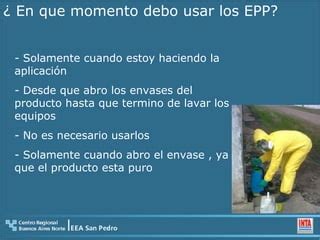 Uso Seguro De Agroqu Micos Ppt