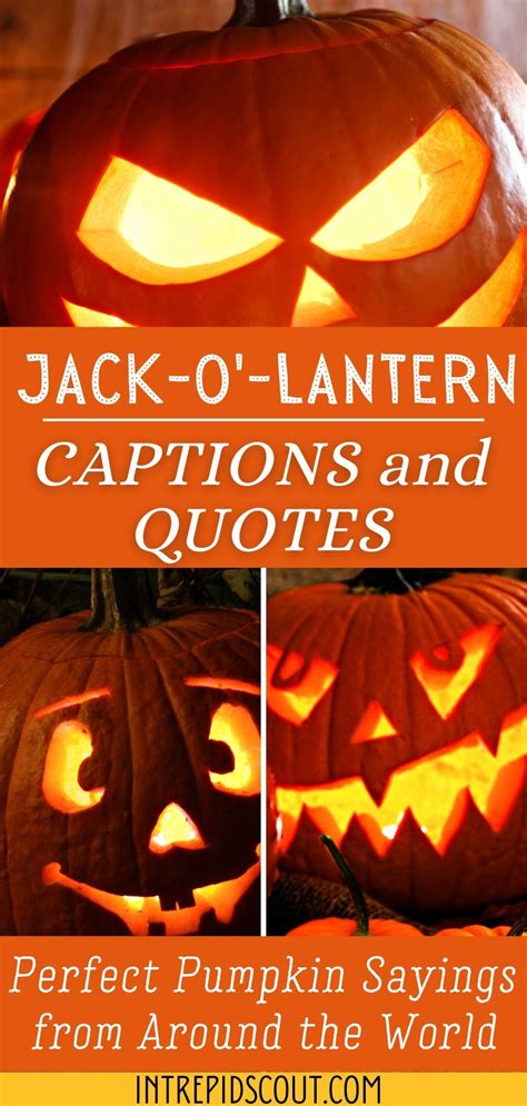 Pumpkin Captions And Quotes Pumpkin Quotes Carving Quotes Pumpking