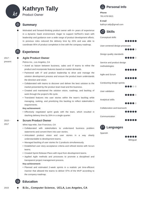 Product Owner Resume Examples [20 Skills Summaries Tips]