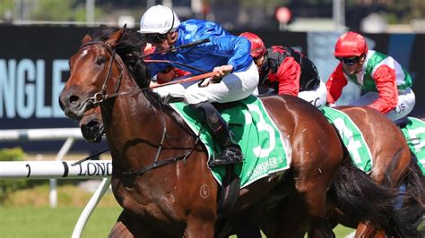 Spring Champion Stakes The Invitation Tips For Randwick