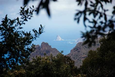 Ruta Por Los Senderos De Anaga Tenerife Gu A Repsol