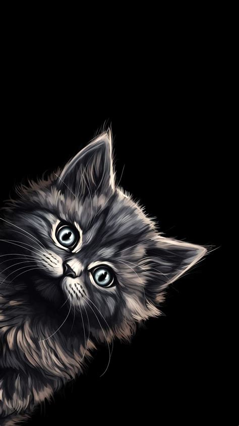 Pin By MuchaTseBle On Amoled Cat Phone Wallpaper Cute Cat Wallpaper