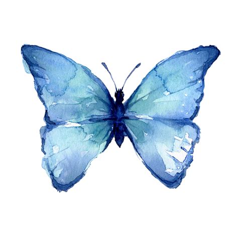 THE BLUE BUTTERFLY - Reposed Light