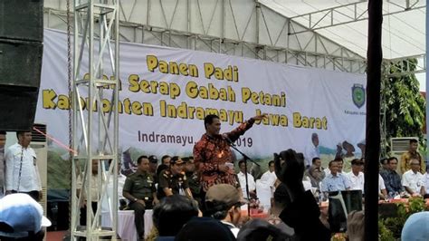 Mentan Minta Bulog Serap Gabah Petani Indramayu Bisnis Liputan