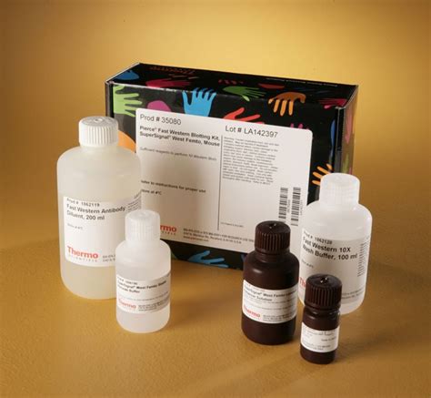 Thermo Scientific™ Pierce™ Fast Western Blot Kits Supersignal™ West