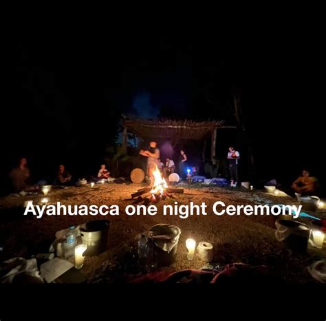 2-Day Ayahuasca Retreat in Puerto Morelos, Mexico | 2 Days Package