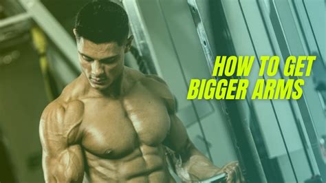 How To Get Bigger Arms Youtube