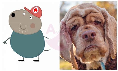 Peppa Pig in Real Life Characters – Page 4 – Before and After