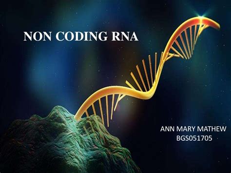 non coding RNA