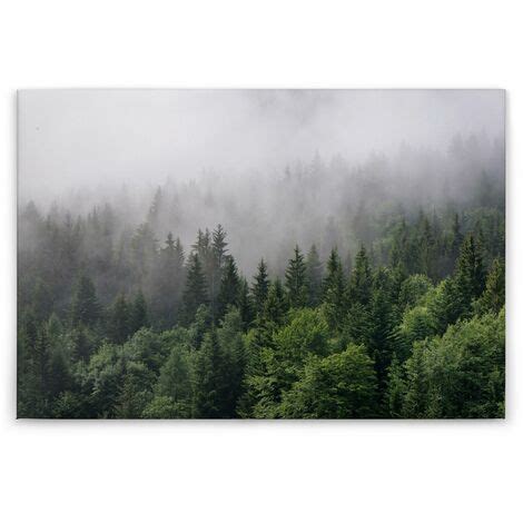 Leinwandbild Bäume 60 x 90 cm Wandbild Wald Grün Weiß Keilrahmen