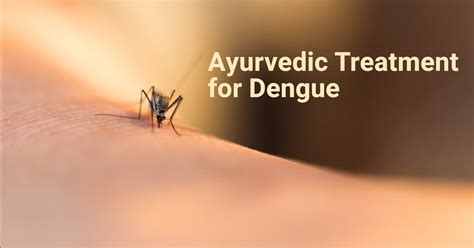 Dengue Treatment In Ayurveda