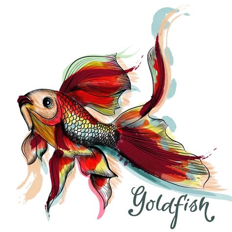 Hand Drawn Goldfish In Watercolor Style From Ink Spots Stock Vector