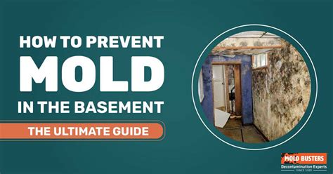 How To Control Mildew In Basement Openbasement