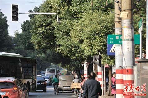 树叶遮挡红绿灯 闯灯挨罚扣分 交警：可申诉 今日关注 湖南在线 华声在线