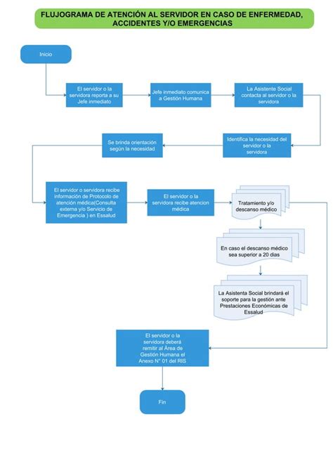 Flujograma De Enfermedades Y Accidentes Verticalpdf