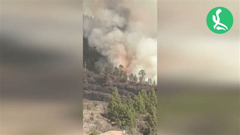 Medios A Reos Y Terrestres Trabajan Para Controlar Un Incendio Forestal