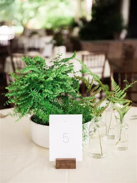 Reasons Why We Still Love Greenery Centerpieces Plant Centerpieces