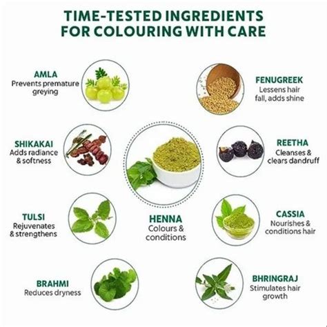 100gm Natural Henna Powder At Best Price In Sojat By Leela Industry