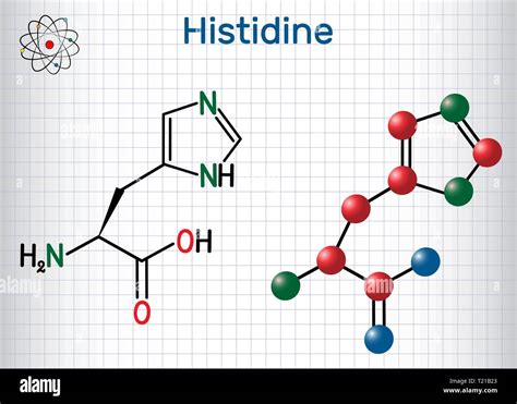 Histidine L Histidine His H Amino Acid Molecule It Is Used In