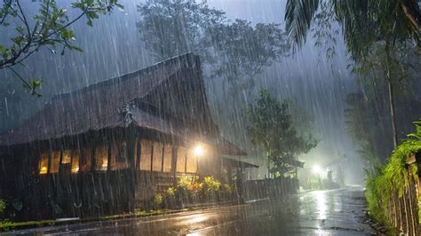 The Comforting Sound Of Rain While Walking Is Quiet Sleep Insomnia