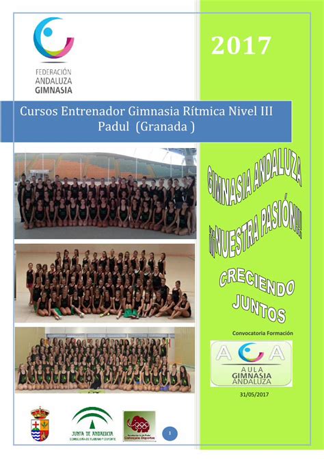 Pdf Cursos Entrenador Gimnasia R Tmica Nivel Iii Padul La