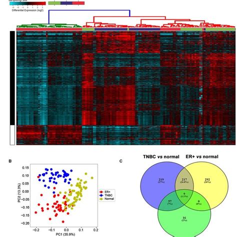 LncRNA Transcriptional Landscape In Different Breast Cancer Subtypes