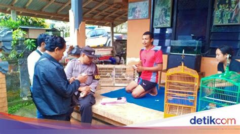 Laptop Dan Enam Ekor Burung Warga Sebudi Digondol Maling