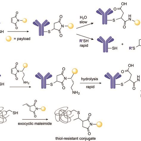 Structures Of Currently Fda Approved Adcs A Brentuximab Vedotin